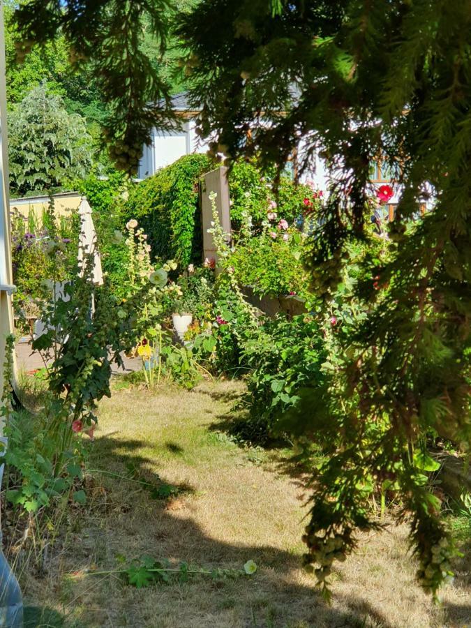 Ferienwohnung Ole Цинновіц Екстер'єр фото